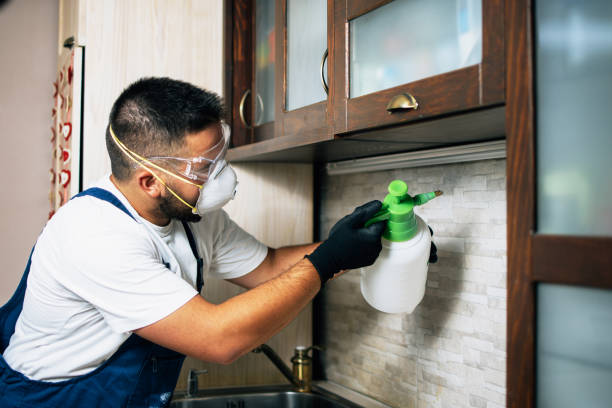Best Best Pest Control Companies  in Levittown, PA