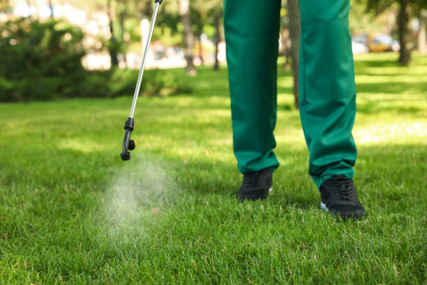 Best Termite Control Services  in Levittown, PA
