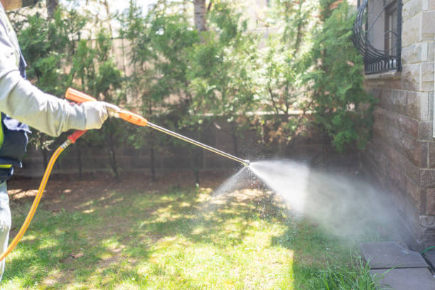 Best Insect Control  in Levittown, PA