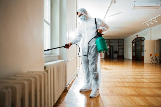 Insect Control in Levittown, PA